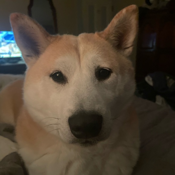 Meet your Posher, Joel - Picture 1 of 2